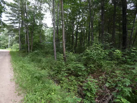 00 Pineview, Harrison, MI 48625 photo 5