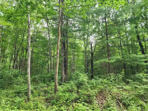 00 Pineview, Harrison, MI 48625