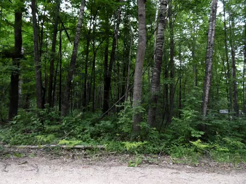 00 Pineview, Harrison, MI 48625 photo 7