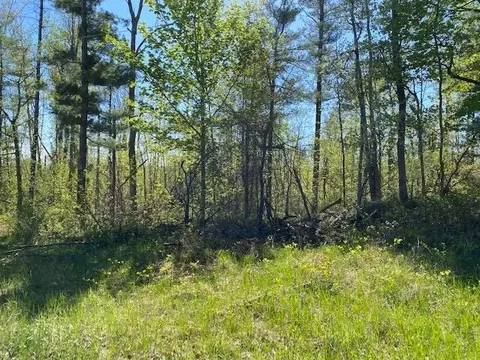 0 Herrman, Elk Rapids, MI 49629 photo 3