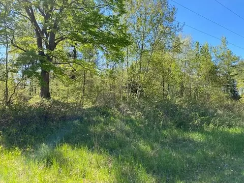 0 Herrman, Elk Rapids, MI 49629