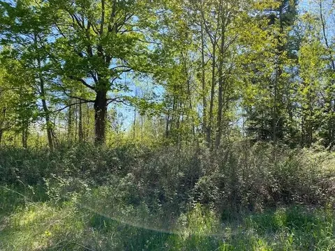 0 Herrman, Elk Rapids, MI 49629 photo 6