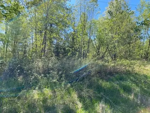 0 Herrman, Elk Rapids, MI 49629 photo 5