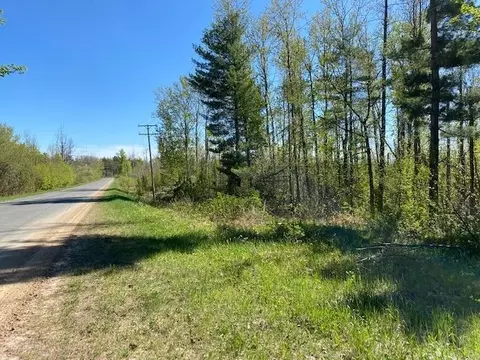 0 Herrman, Elk Rapids, MI 49629 photo 4