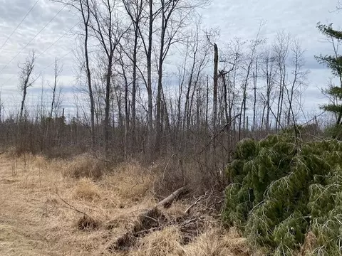 0 Herrman, Elk Rapids, MI 49629 photo 15