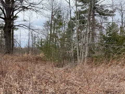 0 Herrman, Elk Rapids, MI 49629 photo 10