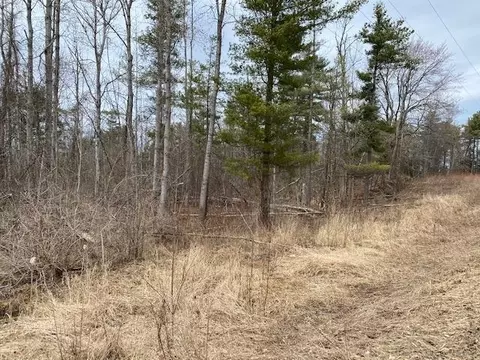 0 Herrman, Elk Rapids, MI 49629 photo 14