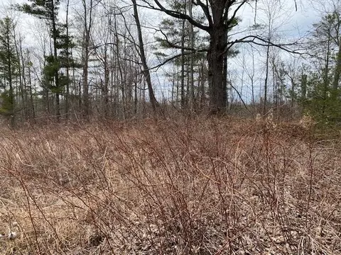 0 Herrman, Elk Rapids, MI 49629 photo 12