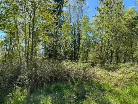 0 Herrman, Elk Rapids, MI 49629 photo 7