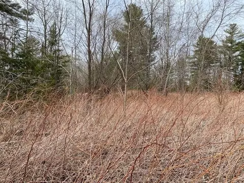 0 Herrman, Elk Rapids, MI 49629 photo 11
