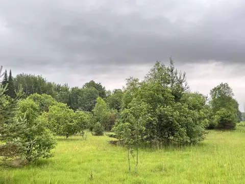 5107 SE Schlaf, Kalkaska, MI 49646