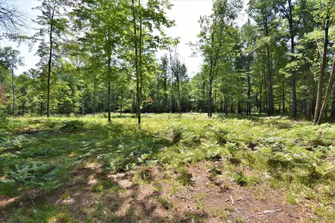 N Forest Lake, Alger, MI 48610