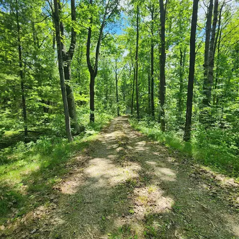 9308 E 22, Manton, MI 49663 photo 17