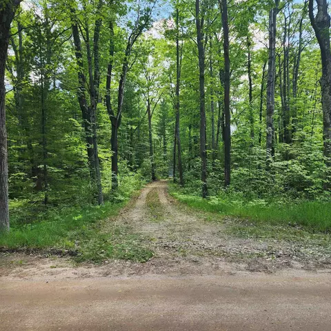 9308 E 22, Manton, MI 49663 photo 16
