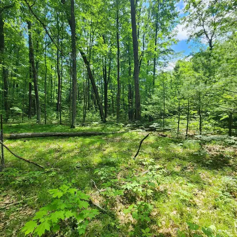 9308 E 22, Manton, MI 49663 photo 19