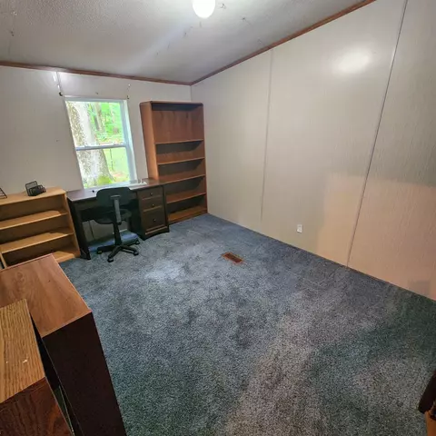 9308 E 22, Manton, MI 49663 photo 10