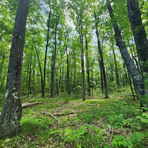 9308 E 22, Manton, MI 49663 photo 18