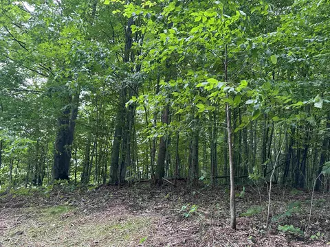 4935 Woodman, South Boardman, MI 49680