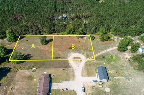 Lot A Tiger, Lake Ann, MI 49650