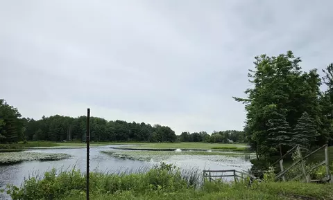 Vl E State, Hale, MI 48739 photo 16