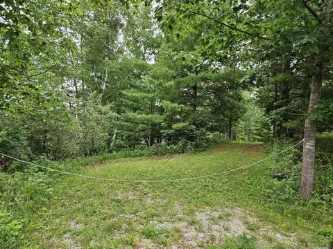 Vl E State, Hale, MI 48739 photo 9