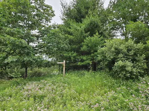 Vl E State, Hale, MI 48739 photo 13
