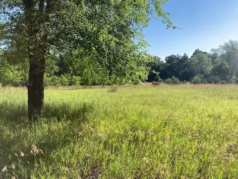 forest, Bellaire, MI 49615