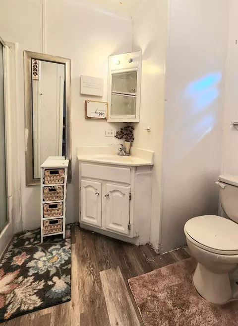Bath - 220 Pine, Manton, MI 49663 photo 1 of 2