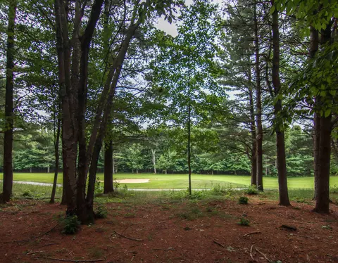 0000- Unit 40 Trailside, Thompsonville, MI 49683