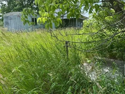 Exterior - 226 E Pne, Mesick, MI 49668 photo 21 of 21