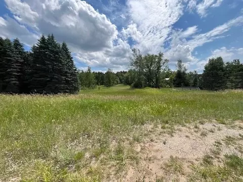 Other - 226 E Pne, Mesick, MI 49668 photo 24 of 26