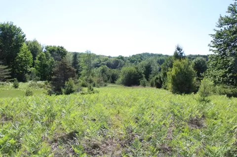 001 Griffin, Boyne City, MI 49712