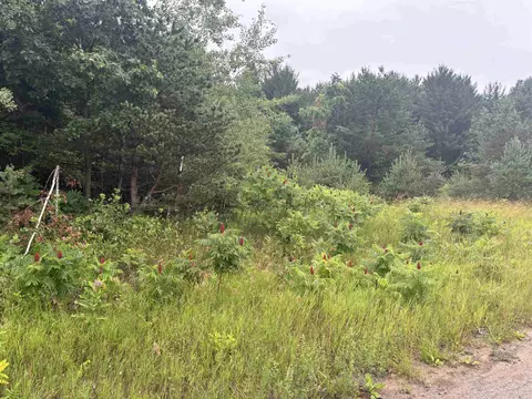 Manhattan East, Traverse City, MI 49685