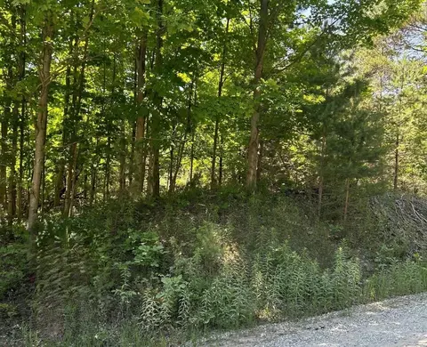 00 W Briar Hl, Maple City, MI 49664