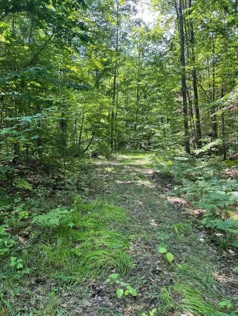 211 Logging, Leroy, MI 49655