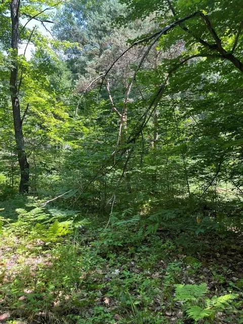 211 Logging, Leroy, MI 49655 photo 4