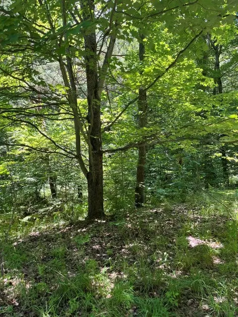 211 Logging, Leroy, MI 49655 photo 2