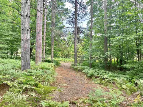 0000 Thomas Rd SW, South Boardman, MI 49680