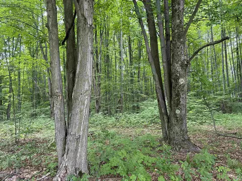 330 Thomas Rd SW, South Boardman, MI 49680