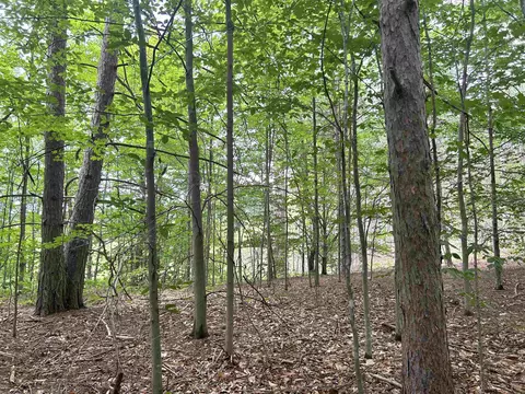 332 Thomas Rd SW, South Boardman, MI 49680