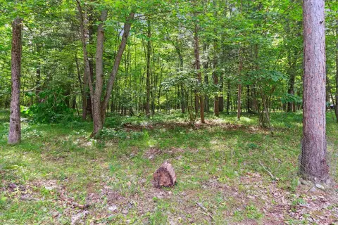 Exterior - 4587 Pine Run, Farwell, MI 48622 photo 8 of 8