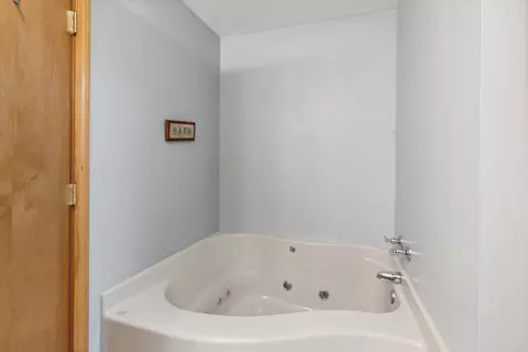 Bath - 4587 Pine Run, Farwell, MI 48622 photo 3 of 3