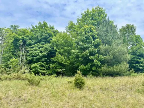 17 High Mdw, Frankfort, MI 49635