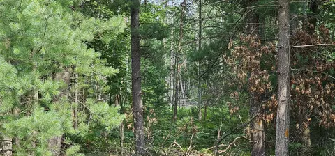 00 Wilderness, Alger, MI 48610 photo 7