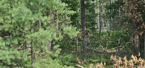 00 Wilderness, Alger, MI 48610 photo 8