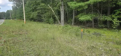 00 Wilderness, Alger, MI 48610 photo 6