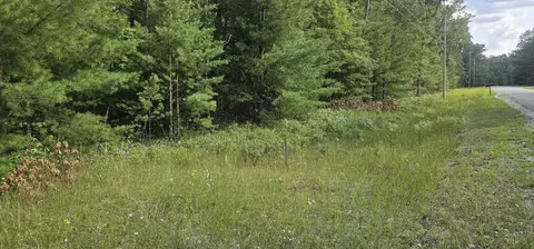 00 Wilderness, Alger, MI 48610 photo 5