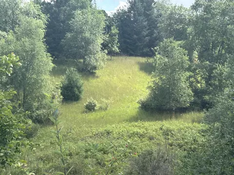 V/l Crystal Springs, Bellaire, MI 49615