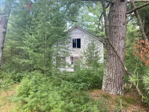 17862 Old House, Wellston, MI 49689