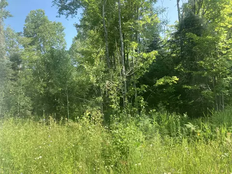 County Line, Other, MI 49952 photo 2